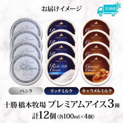 十勝橋本牧場 プレミアムアイス 全味食べ比べセット(3種×各4個)【配送不可地域：離島・沖縄県】【1675556】