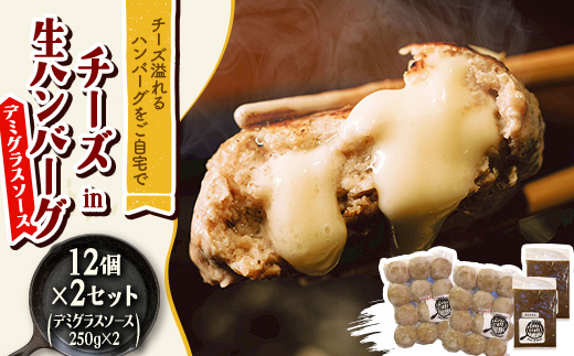 チーズ in 生ハンバーグ 12個×2セット+デミグラスソース250g×2【配送不可地域：離島】【1673883】