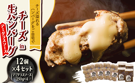 チーズ in 生ハンバーグ 12個×4セット+デミグラスソース250g×4【配送不可地域：離島】【1673885】