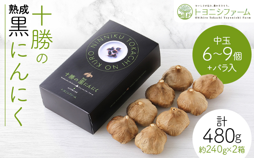 黒にんにく レギュラー (中玉6〜9個+バラ入) ×2箱 計480g【1205011】