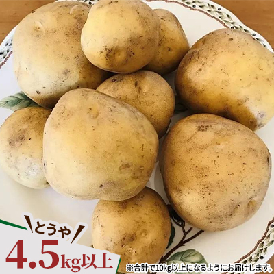  じゃがいも2種+ながいも 計10kgセット　北海道十勝帯広産【配送不可地域：離島】【1497187】