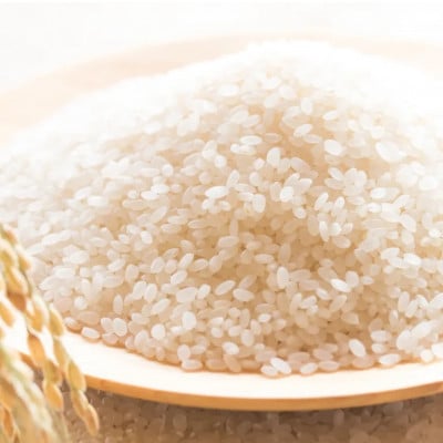 ãæ¯æå®æäŸ¿ãåæµ·éç£ ãªãªã€ãŒã ç¡æŽç±³ 10kg (5kgÃ2è¢)ã什å6幎 ç¹Aåè³ãå
š3åã4073382ã