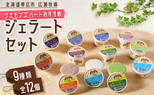 ウエモンズハートおすすめ　ジェラートセット(9種類 全12個)【配送不可地域：離島】【1205880】