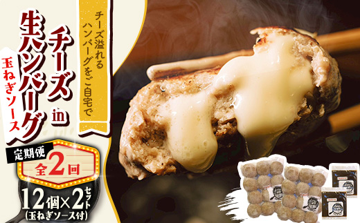 【毎月定期便】チーズ in ハンバーグ(生)12個(玉ねぎソース150g) 2セット全2回【配送不可地域：離島】【4080197】