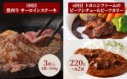 【毎月定期便】豊西牛満喫コース全6回【配送不可地域：離島】【4065345】
