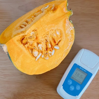 北海道帯広市産　かぼちゃ「きみまろん」5kg　糖度15〜19度【1608373】