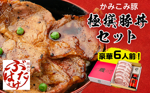 豚丼のぶたはげ「極撰豚丼セット6人前」【配送不可地域：離島】【1205705】