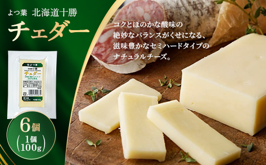 よつ葉 北海道十勝 チェダー 100g×6個【配送不可地域：離島】【1690055】