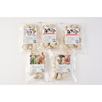 北の匠　手作り餃子4種【計75個】【配送不可地域：離島】【1210107】