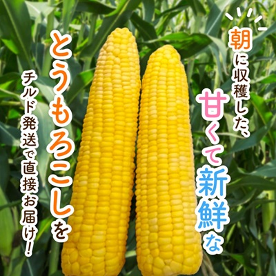 先行受付【十勝ガールズ農場】訳あり 直送 朝もぎつぶつぶ「あま〜いゴールドとうもろこし」25本【配送不可地域：離島】【1462031】