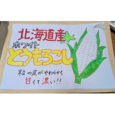 【先行受付】甘さ旨みぎゅっと凝縮ホワイトコーン 10本【配送不可地域：離島】【1676327】