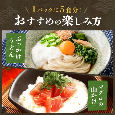 熨斗 十勝 無添加 山わさび入り とろろ 250g×4パック 合計1kg 北海道 帯広市【配送不可地域：離島】【1521921】