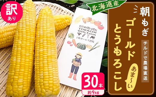 先行受付【十勝ガールズ農場】訳あり 直送 朝もぎつぶつぶ「あま〜い