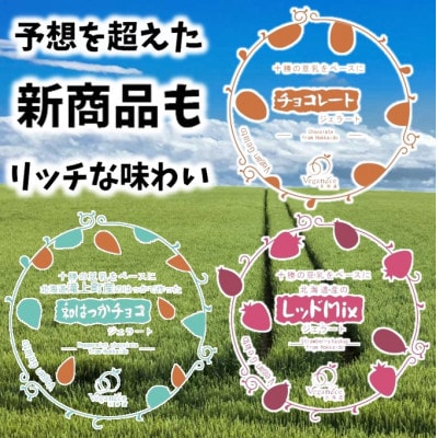 北海道産ヴィーガンジェラート　6個+新商品3個セット【配送不可地域：離島】【1506388】