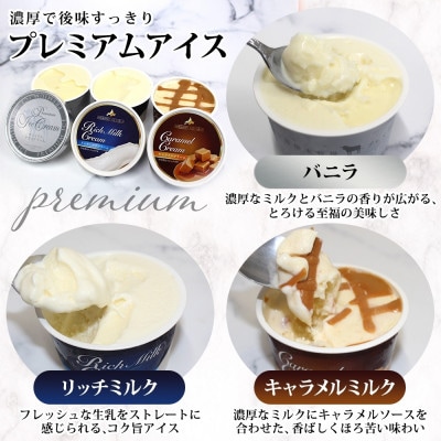 十勝橋本牧場 プレミアムアイス 全味食べ比べセット(3種×各4個)【配送不可地域：離島・沖縄県】【1675556】