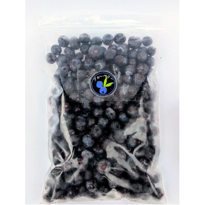 【北海道十勝産 希少品種】冷凍ブルーベリー500g×2袋【配送不可地域：離島】【1677076】