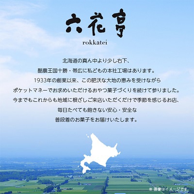 【毎月定期便】六花亭 マルセイバターサンド など 代表銘菓詰合わせ全5回【配送不可地域：離島】【4011964】