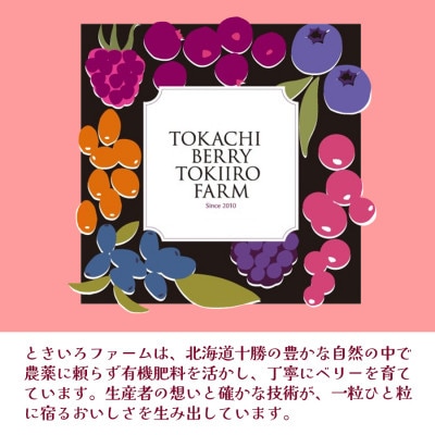 【北海道十勝産 贅沢ピューレ】冷凍ラズベリーピューレ 500g×1袋【配送不可地域：離島】【1677100】