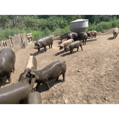 【北海道十勝産】放牧どろぶた　しゃぶしゃぶ部位別食べ比べセット【配送不可地域：離島】【1212233】