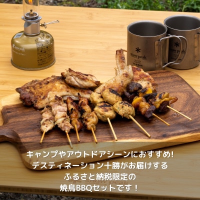 とかち野遊び焼き鳥BBQセット 合計850g【2名分】【配送不可地域：離島】【1338563】