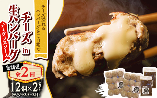 【毎月定期便】チーズ in ハンバーグ(生)12個入(デミグラスソース250g) 2セット全2回【配送不可地域：離島】【4080195】