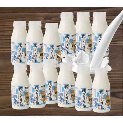 十勝ジャージー牛乳12本Sセット【配送不可地域：離島】【1383730】