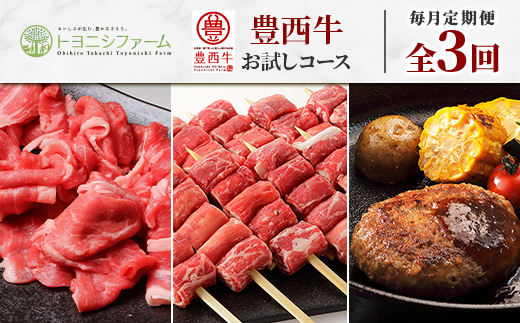 【毎月定期便】豊西牛お試しコース全3回【配送不可地域：離島】【4065346】