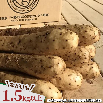  じゃがいも2種+ながいも 計10kgセット　北海道十勝帯広産【配送不可地域：離島】【1497187】