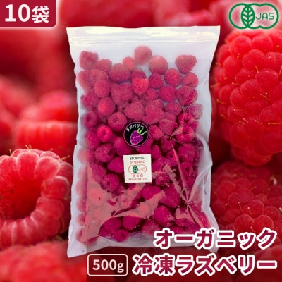 有機JAS認証 冷凍ラズベリー2種食べ比べセット 5kg (500g×10袋)【十勝産 希少品種】【配送不可地域：離島】【1677062】