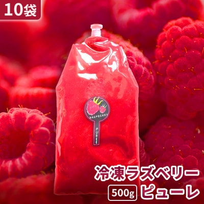 【北海道十勝産 贅沢ピューレ】冷凍ラズベリーピューレ 5kg(500g×10袋)【配送不可地域：離島】【1677105】