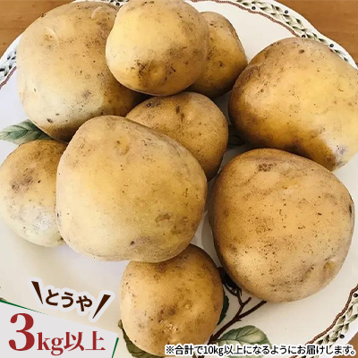 じゃがいも2種 玉ねぎ 合計10kgセット 北海道十勝帯広産【配送不可地域：離島】【1497190】