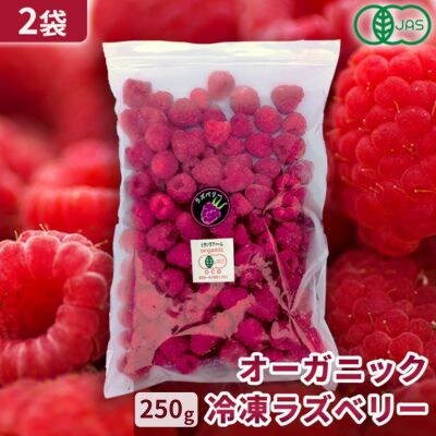 有機JAS認証 冷凍ラズベリー2種食べ比べセット 500g (250g×2袋)【十勝産 希少品種】【配送不可地域：離島】【1683423】