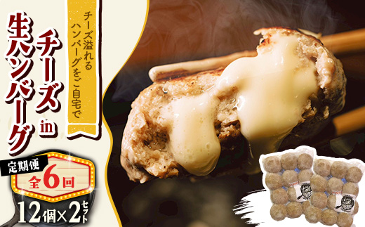 【毎月定期便】チーズ in ハンバーグ　生(12個入) 2セット全6回【配送不可地域：離島】【4080186】