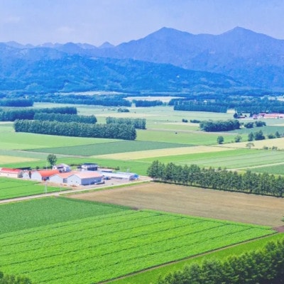 令和6年産 北海道産 ななつぼし 無洗米 5kg【1564296】