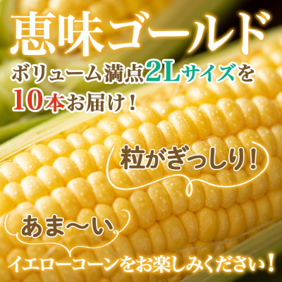 【2025年 先行受付】十勝 恵味ゴールド 10本 2Lサイズ 甘いスイートコーン 北海道 帯広市【配送不可地域：離島】【1499657】