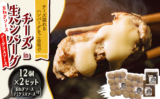 チーズ in 生ハンバーグ 12個×2(玉ねぎソース150g、デミグラスソース250g 各1個)【配送不可地域：離島】【1673880】