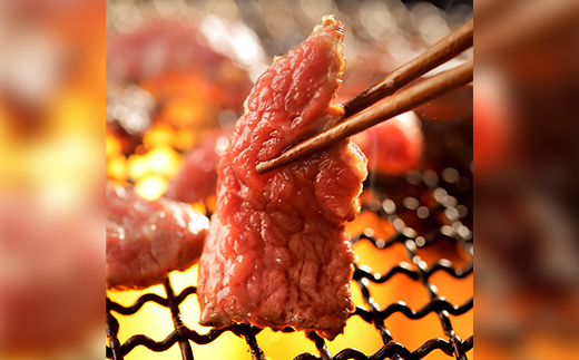 豊西牛ミスジ焼肉・上カルビ焼肉セット【配送不可地域：離島】【1608868】