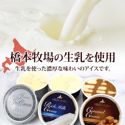 十勝橋本牧場 プレミアムアイス 全味食べ比べセット(3種×各4個)【配送不可地域：離島・沖縄県】【1675556】