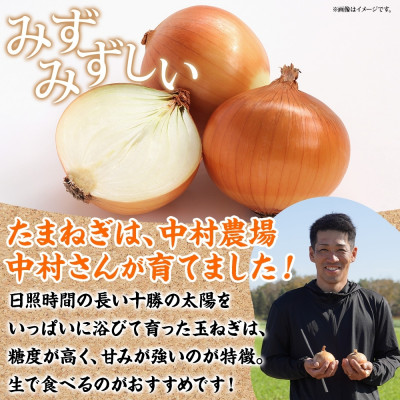 十勝 玉ねぎ 5kg メークイン じゃがいも 5kg 計10kg 農家さんのお野菜 北海道 帯広市【1514129】