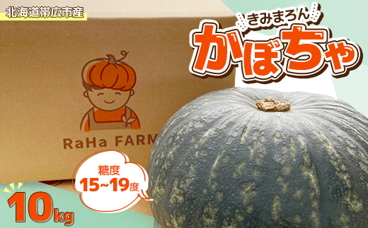北海道帯広市産　かぼちゃ「きみまろん」10kg　糖度15〜19【1548011】