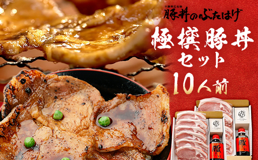豚丼のぶたはげ「極撰豚丼セット10人前」【配送不可地域：離島】【1482250】