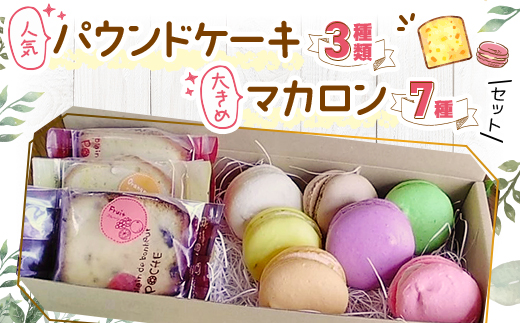 人æ°ããŠã³ãã±ãŒã3çš®é¡ãšå€§ãããã«ãã³7çš®ã»ãããé
éäžå¯å°åïŒé¢å³¶ãã1497366ã