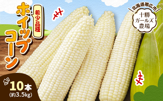 先行受付【十勝ガールズ農場】希少品種「ホイップコーン」10本【配送不可地域：離島】【1719276】