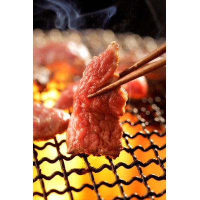 è±è¥¿çäžã«ã«ãçŒèã»ãããé
éäžå¯å°åïŒé¢å³¶ãã1608870ã