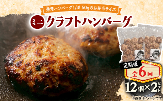 【毎月定期便】ミニクラフトハンバーグ(ミニ12個入り 1セット)　ソースなし 2セット全6回【配送不可地域：離島】【4080200】