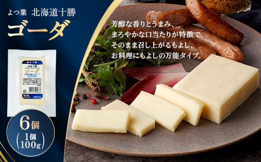 よつ葉 北海道十勝 ゴーダ 100g×6個【配送不可地域：離島】【1690060】