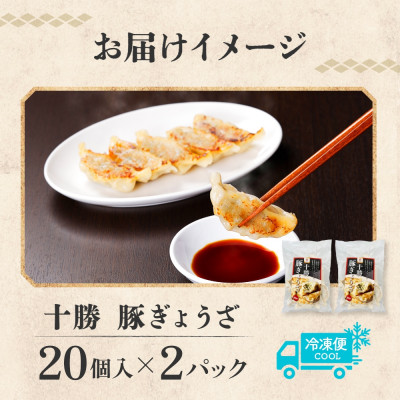 十勝 豚ぎょうざ 20個入り×2パック 十勝豚使用 焼くだけ 北海道 帯広市【配送不可地域：離島】【1513923】