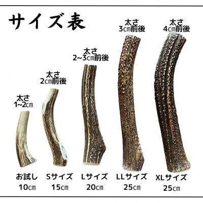 鹿の角 お試しサイズ 10cm 2本 犬のおもちゃ デンタルケア 小型犬用【1415910】