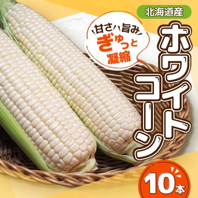 【先行受付】甘さ旨みぎゅっと凝縮ホワイトコーン 10本【配送不可地域：離島】【1676327】