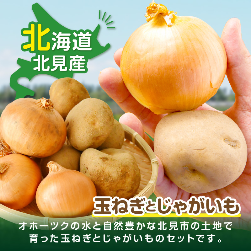 【予約：2026年10月から順次発送】北見市産 たまねぎとじゃがいもセット 約7kg ( 野菜 たまねぎ 玉ねぎ タマネギ 玉葱 ジャガイモ じゃがいも 北海道 セット ふるさと納税 )【002-0007-2026】